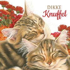 Dikke Knuffel kaart met katten en bloemen