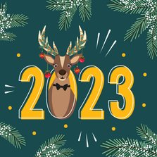 Een fijn 2023 van Rudolf gewenst voor de feestdagen