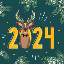 Een fijn 2024 van Rudolf gewenst voor de feestdagen