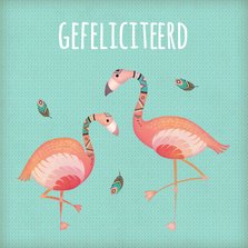 Felicitatie flamingo's - BK