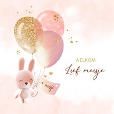Felicitatie geboorte konijntje ballonnen