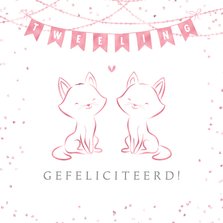 Felicitatie geboorte meisjes tweeling lijntekening katjes
