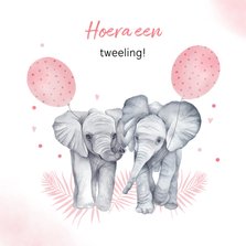 Felicitatie geboorte tweeling meisjes olifantjes