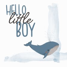 Felicitatie - hello little boy walvis geboorte