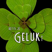 Felicitatie Klavertje GELUKt -OT