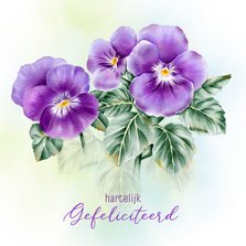 Felicitatie paarse viooltjes