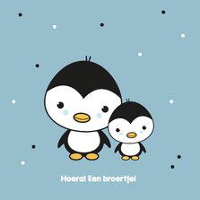 Felicitatie - Pinguïn broertjes