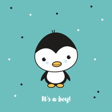 Felicitatie - Pinguïn jongetje