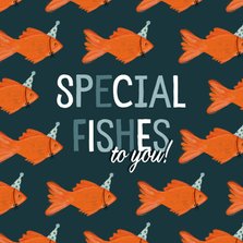 Felicitatie special fishes to you blauw
