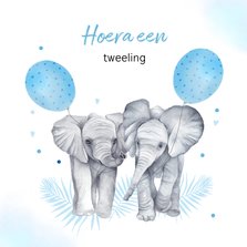 Felicitatie tweeling jongetjes olifantjes ballon