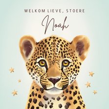Felicitatiekaart geboorte jongenschattige luipaard