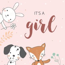 Felicitatiekaart geboorte - Konijn vos en hond meisje