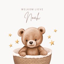 Felicitatiekaart geboorte lieve beer in mand met sterren 