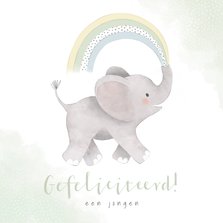 Felicitatiekaart geboorte met olifantje en regenboog zoon