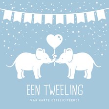 Felicitatiekaart geboorte tweeling 2 jongens met olifantjes