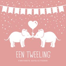 Felicitatiekaart geboorte tweeling 2 meisjes met olifantjes