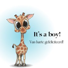 Felicitatiekaart Giraf it's a boy