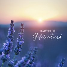 Felicitatiekaart met natuurfoto van lavendel veld