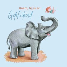 Felicitatiekaart met olifant voor geboorte jongetje