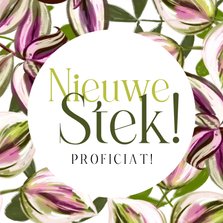 Felicitatiekaart ‘Nieuwe Stek!’ kleurrijke bladeren