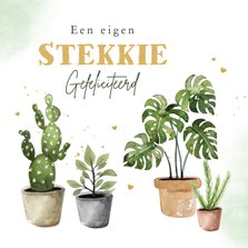 Felicitatiekaart nieuwe woning nieuw stekkie planten
