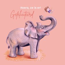 Felicitatiekaart olifant met meisje voor de geboorte 