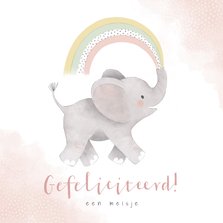 Felicitatiekaart olifantje en regenboog geboorte dochter