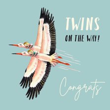 Felicitatiekaart zwanger met tweeling ooievaar