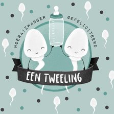 Felicitatiekaart zwanger tweeling humor zaadcellen confetti