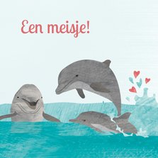Felicitatiekaartje dolfijn