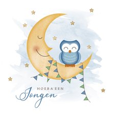 Felicitatiekaartje jongens uiltje op maan met vlaggetjes