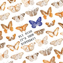 Fly High It's your birthday! verjaardagskaart met vlinders