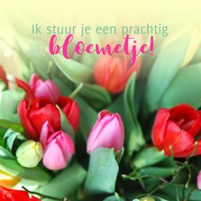 Fotokaart tulpen kleurrijk