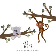 Geboortekaart met een lief ontwerp van een aapje en koala 