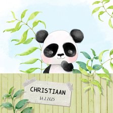Geboortekaart Panda - jongen