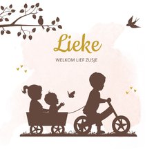 Geboortekaartje fietsje met kar en broer zus en baby meisje