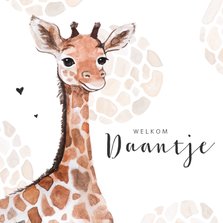 Geboortekaartje giraf patroon lief jongen  meisje hartjes