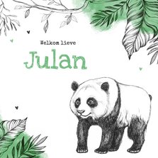 Geboortekaartje hip pandabeer jungle dieren unisex
