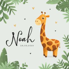 Geboortekaartje jongen giraf illustratie jungle hartjes