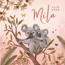 Geboortekaartje jungle meisje koala beer vlinders