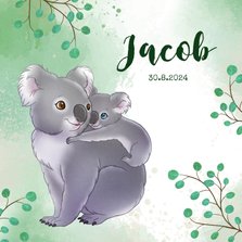 Geboortekaartje koala met baby en takjes waterverf 