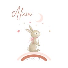 Geboortekaartje - konijn met regenboog meisje