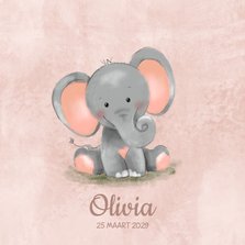 Geboortekaartje meisje roze met lief olifantje
