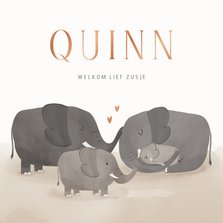 Geboortekaartje olifantenfamilie met kindjes 
