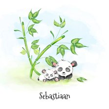 Geboortekaartje panda met bamboe