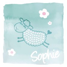 Geboortekaartje Sophie Schaap