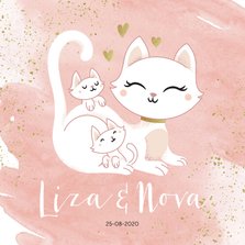 Geboortekaartje tweeling meisjes poesje kat kitten waterverf