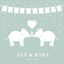 Geboortekaartje voor een tweeling met olifantjes en confetti