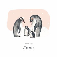 Geboortekaartje winter pinguins tweede kindje