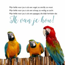 Gedichtenkaart liefde met papegaaien